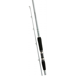 Спиннинг Shimano SPEEDMASTER AX POWER GAME (SSMAX30PGH)