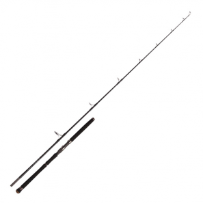 SINPAA 83 HIRAMASA