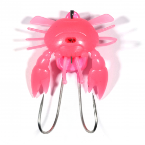 TAKO HEAD