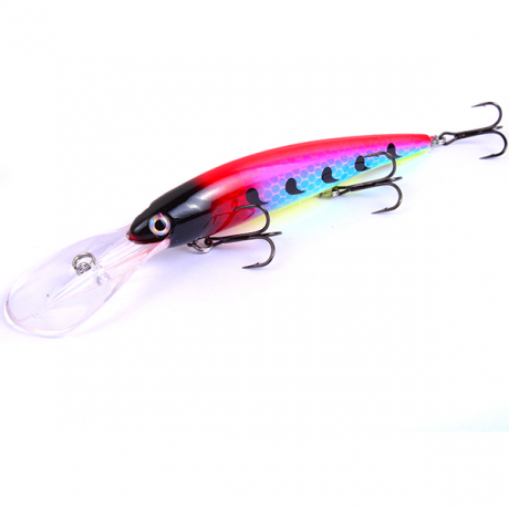 DSC_8938.jpg