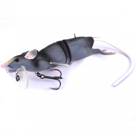 светл1.jpg
