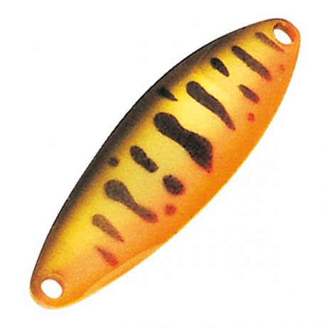 p1g.jpg