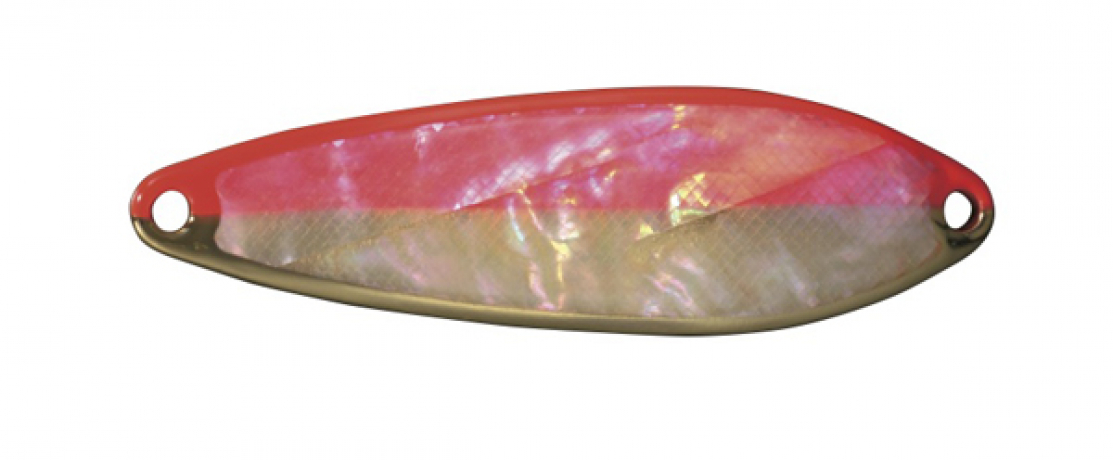 Baitis shell 05.jpg